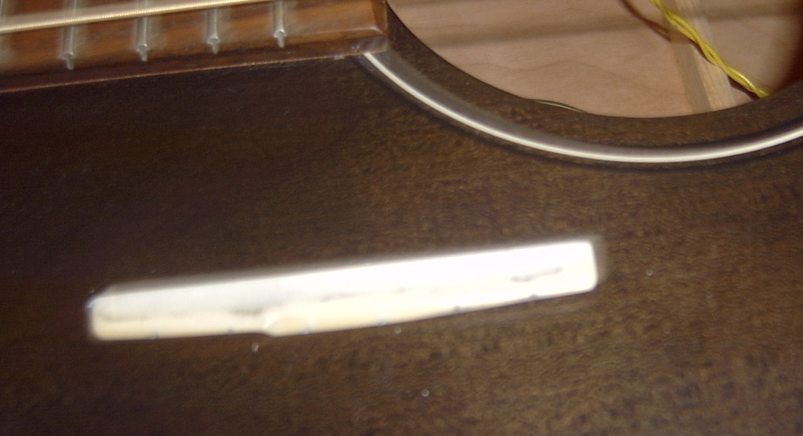 ArtLutherie-EB01