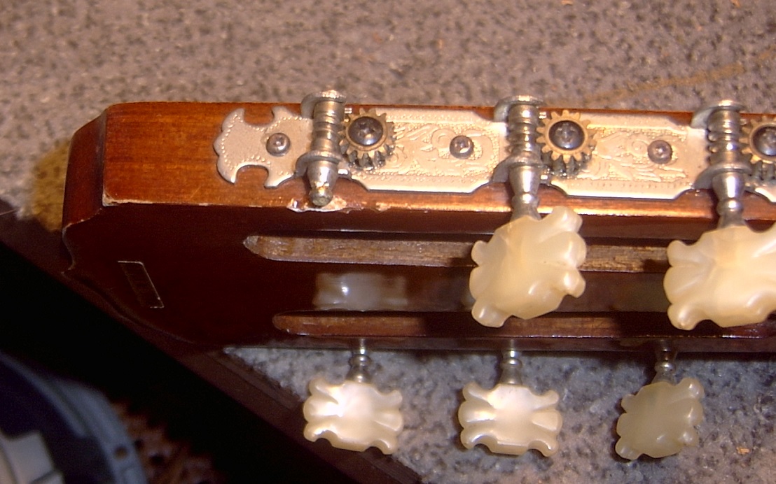Gitarren Sophie0303