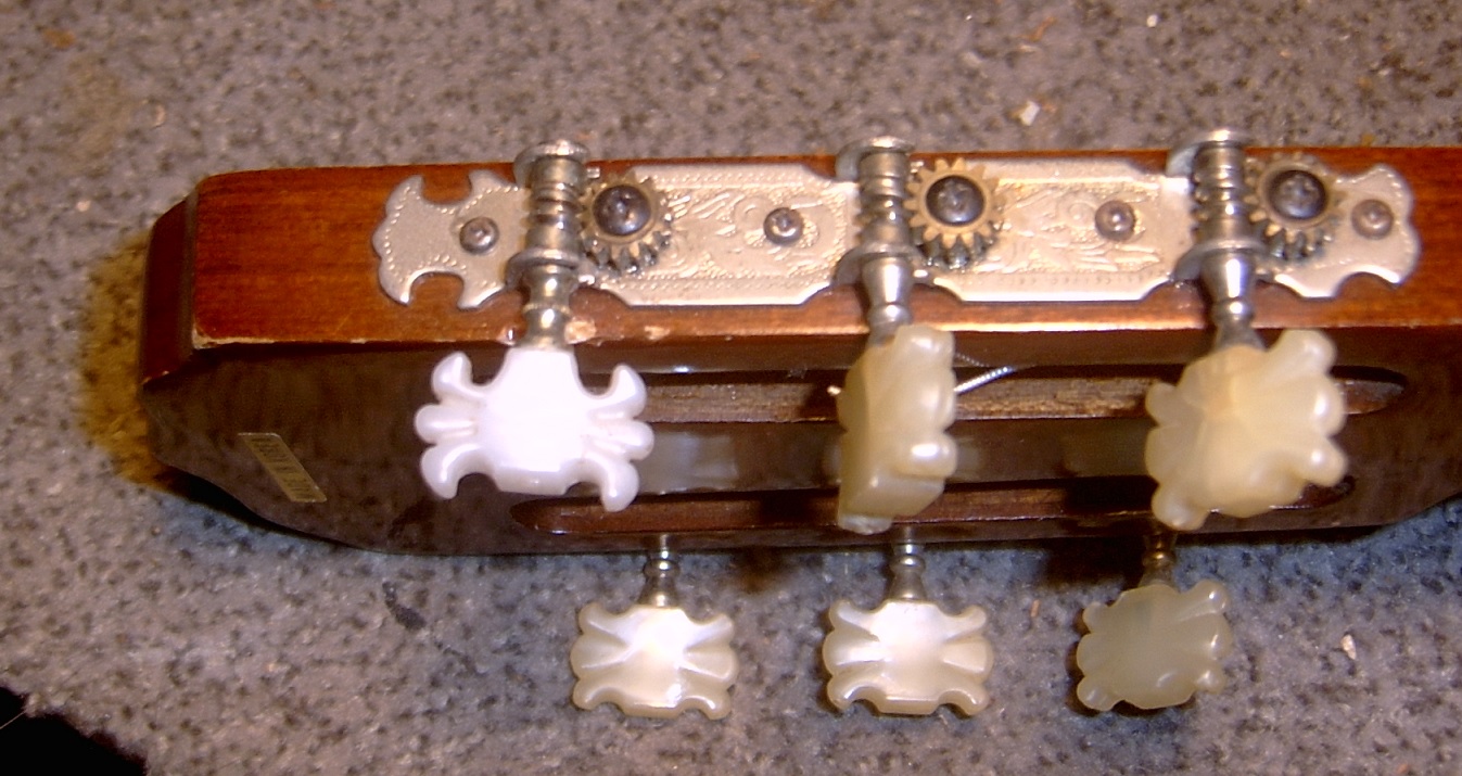 Gitarren Sophie0304